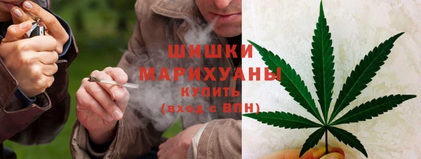 винт Арсеньев
