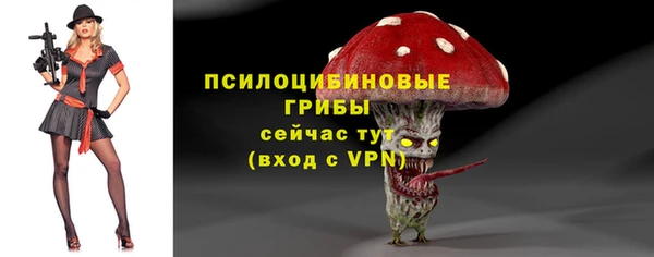 хмурый Армянск