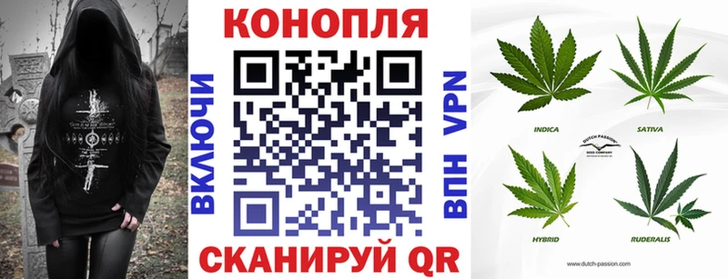 купить наркоту  Туринск  Марихуана LSD WEED 